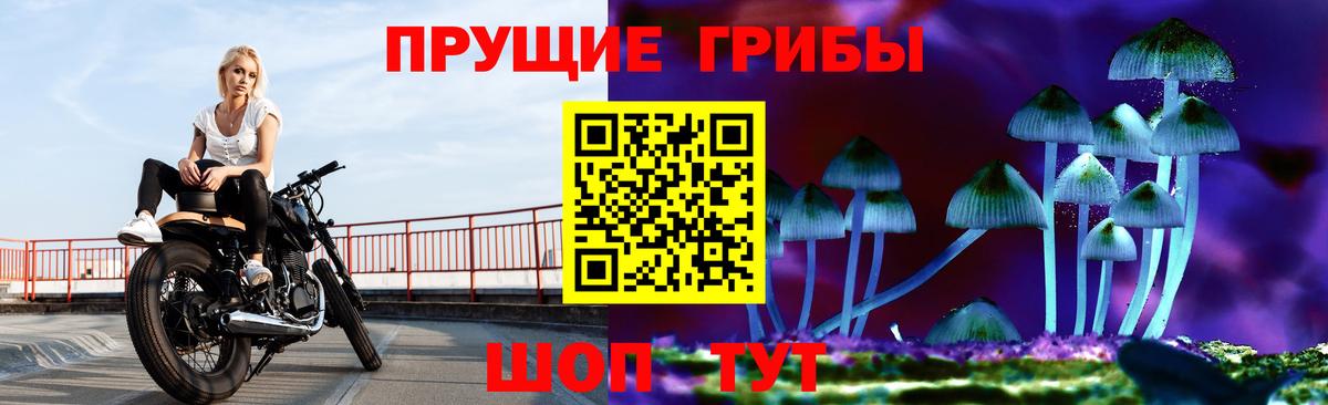 Псилоцибиновые грибы ЛСД Буйнакск